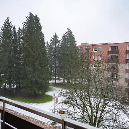 Kaminflair Altenau (Lower-Saxony)